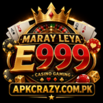 E999 Game