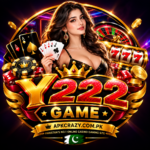 Y222 Game