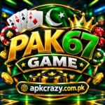 pak67 Game