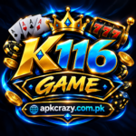 k116 game